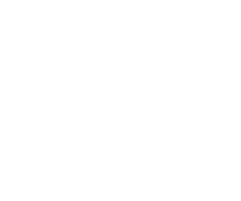 MAG.