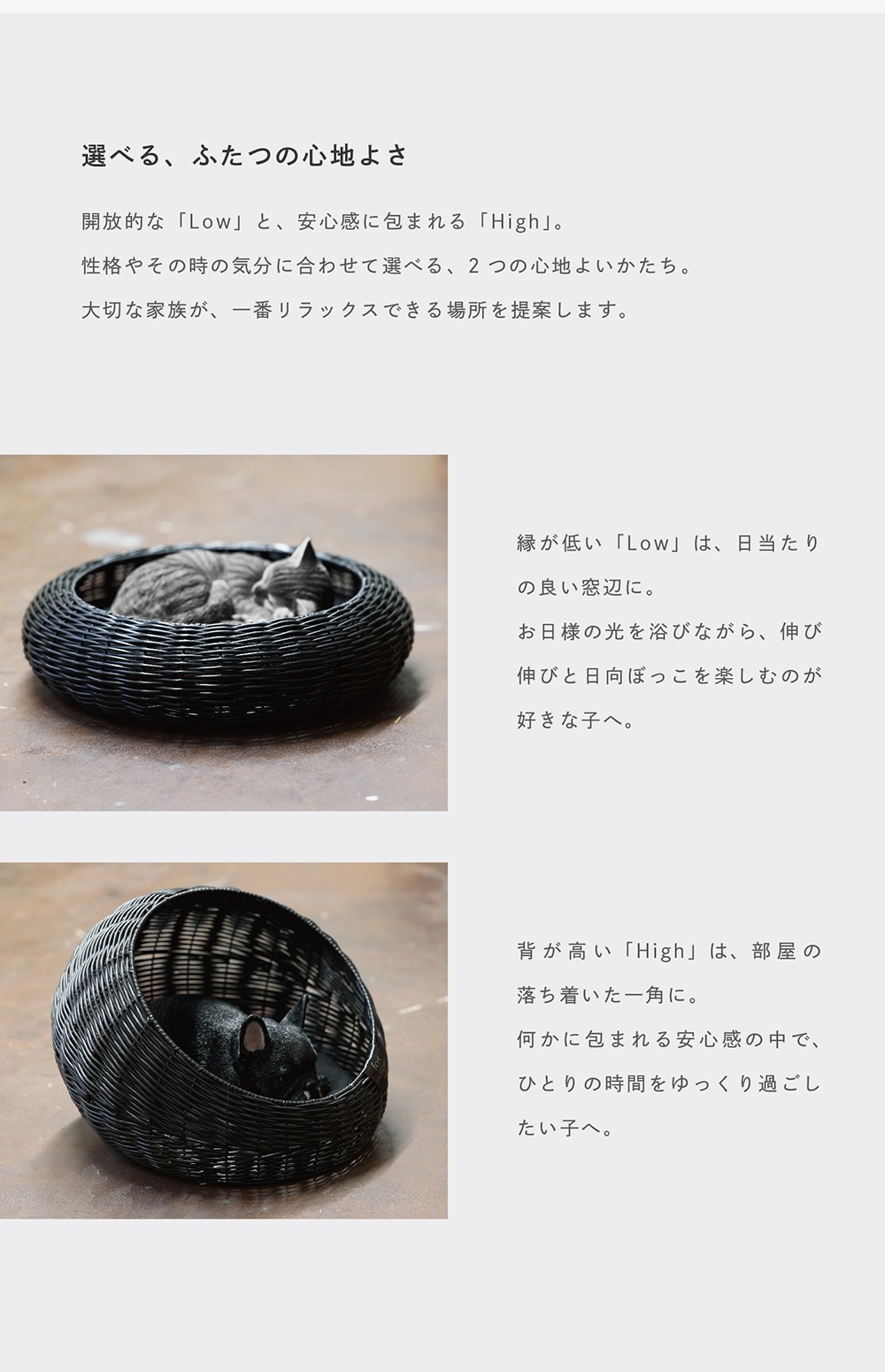 Cuddly Bed（カドリーベッド）のイメージ写真03