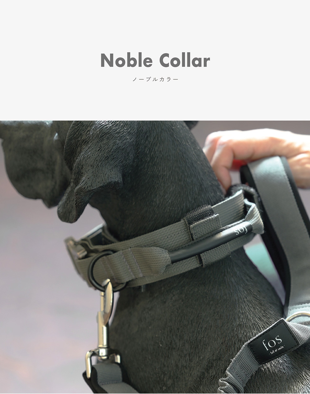 Noble Collar（ノーブルカラー）のイメージ写真01