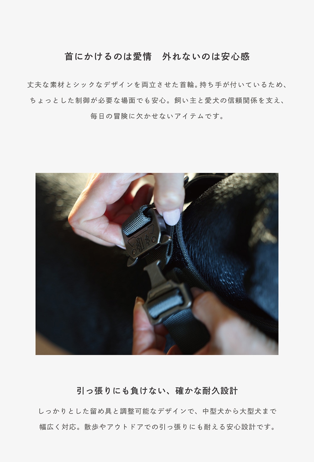 Noble Collar（ノーブルカラー）のイメージ写真02