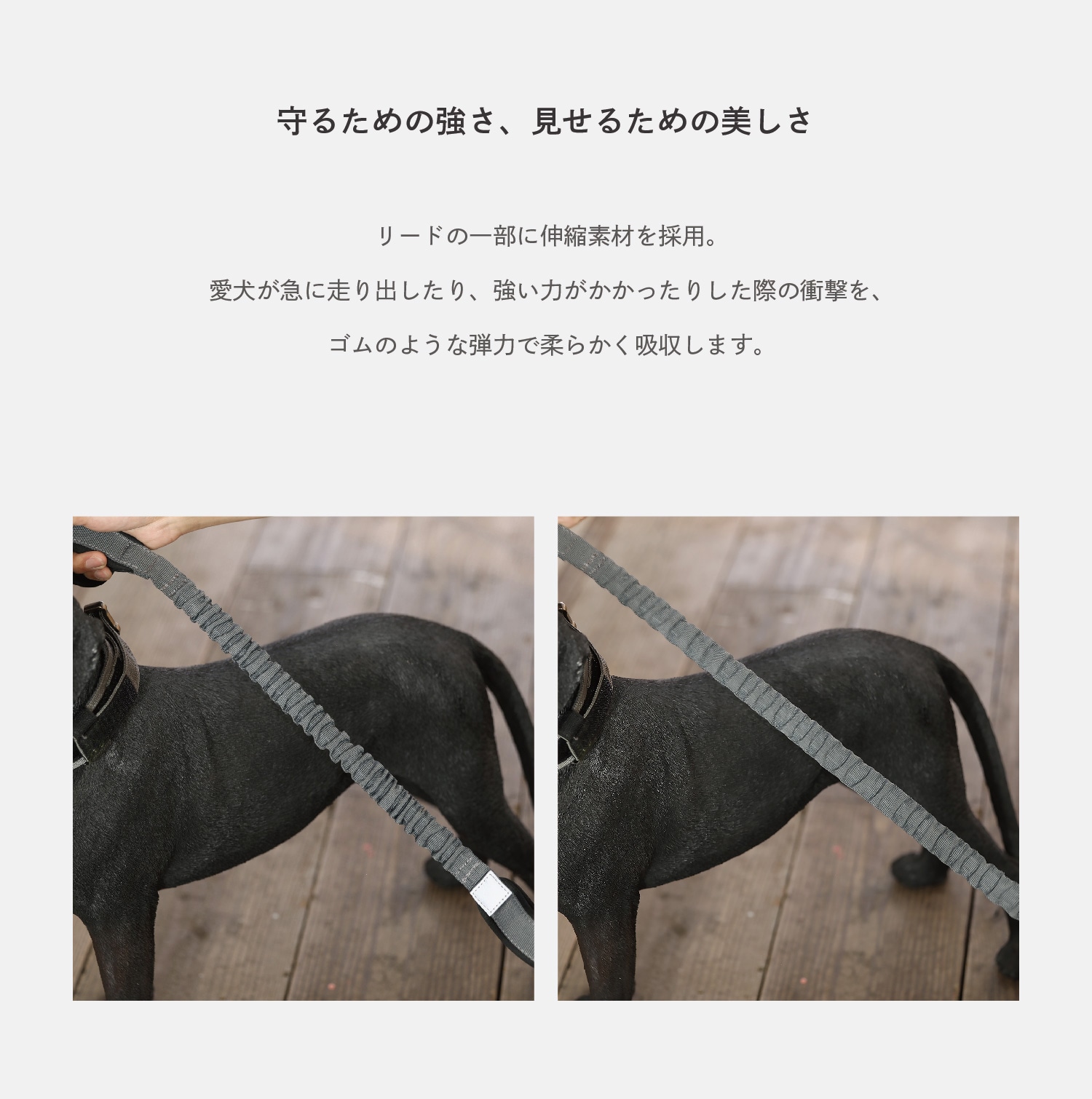 Noble Reel（ノーブルリール）のイメージ写真02