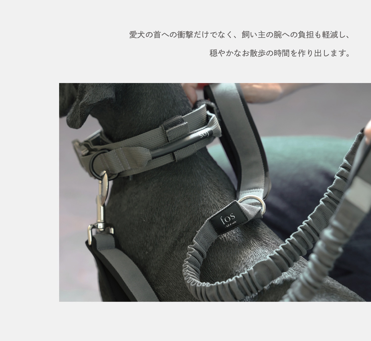 Noble Reel（ノーブルリール）のイメージ写真03
