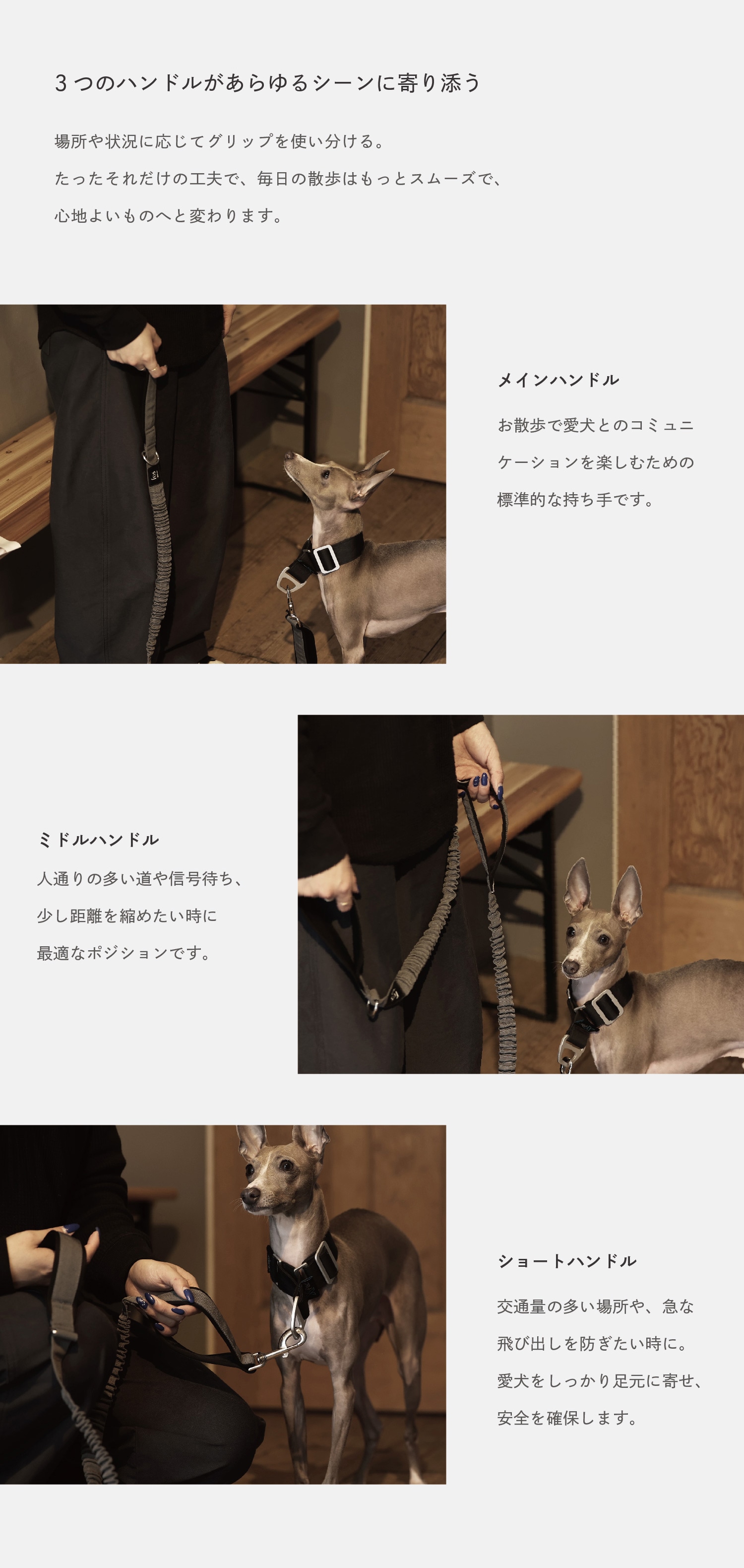 Noble Reel（ノーブルリール）のイメージ写真04