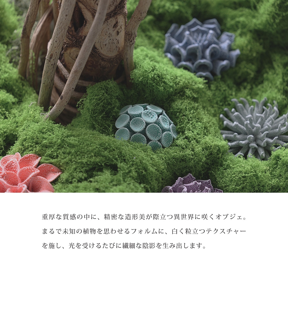 Abyssal（アビサル）のイメージ写真02