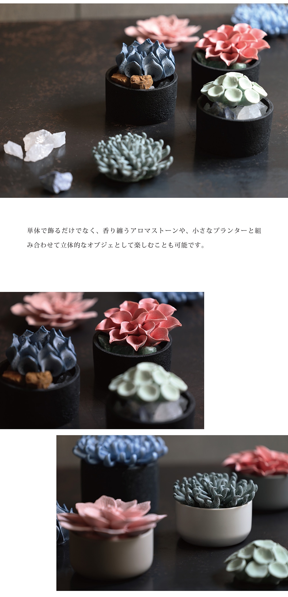 Abyssal（アビサル）のイメージ写真08