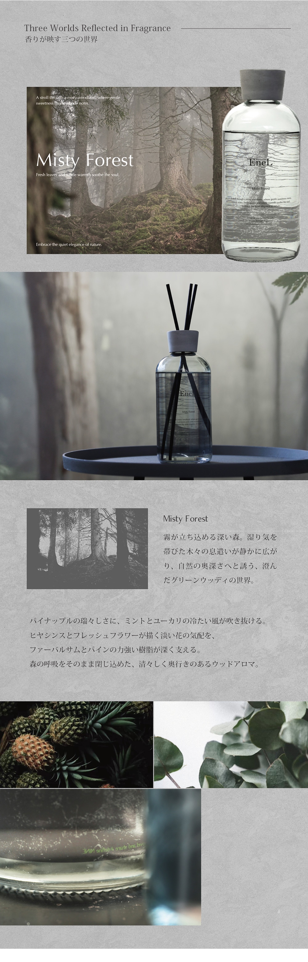 Enel（エネル）のイメージ写真04