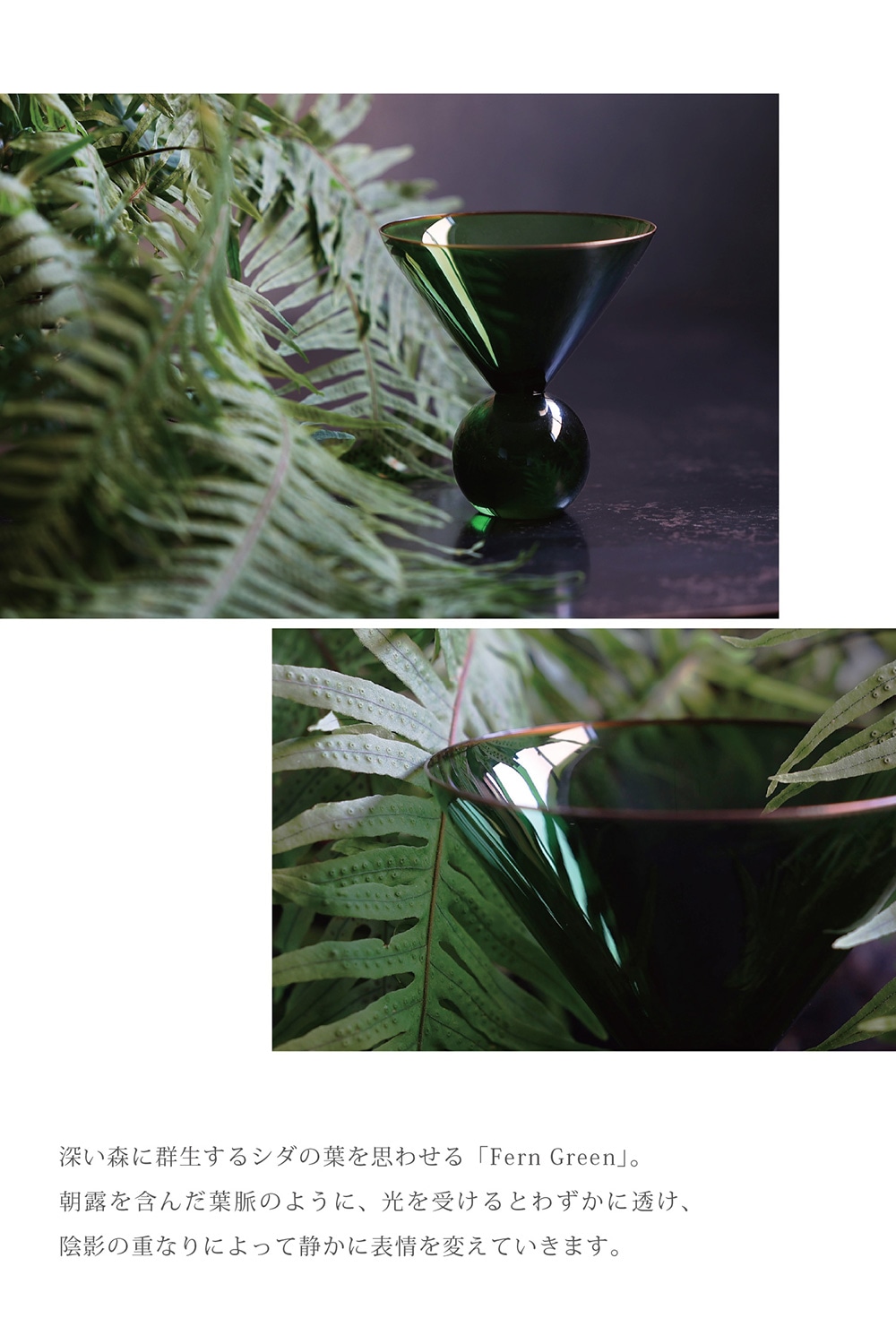 Hazel Alle a te Fern Greenのイメージ写真03