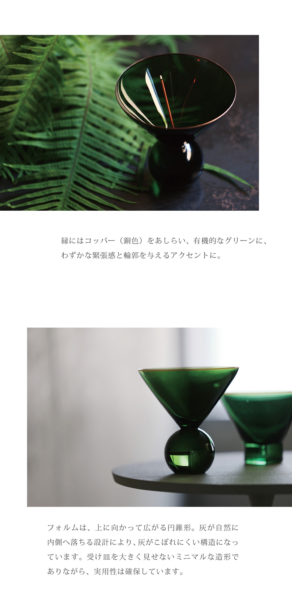 Hazel Alle a te Fern Greenのイメージ写真04