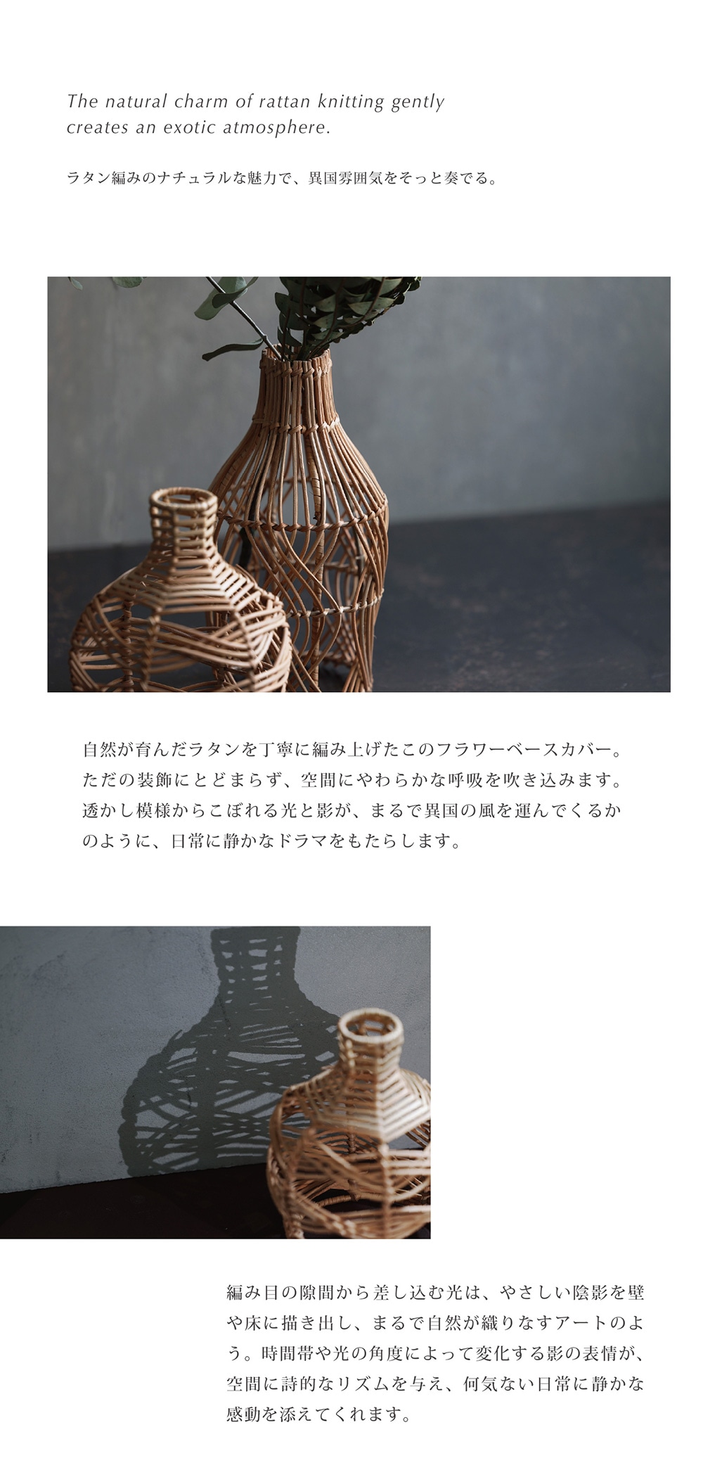 Sadio Tiny（サディオ タイニー）のイメージ写真02