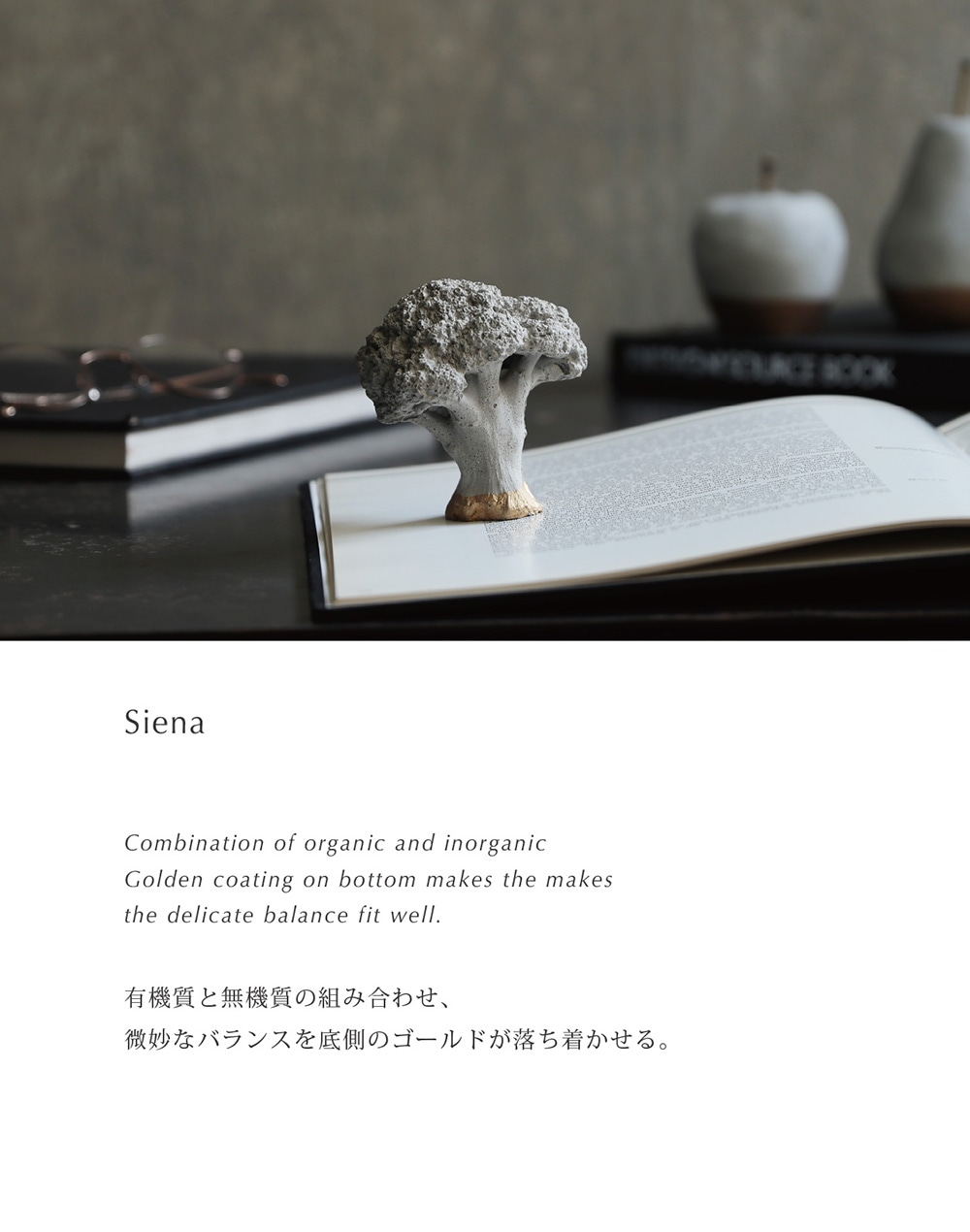 Siena（シエナ）のイメージ写真01