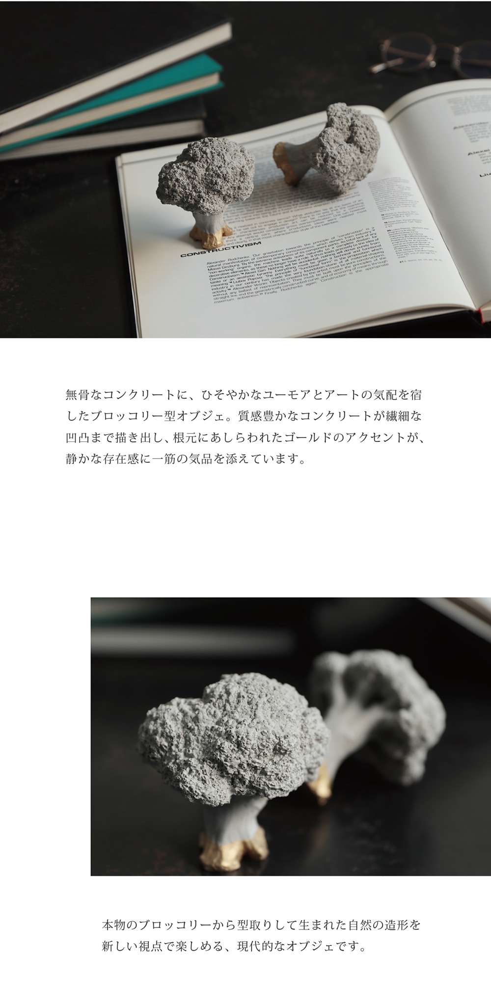 Siena（シエナ）のイメージ写真02