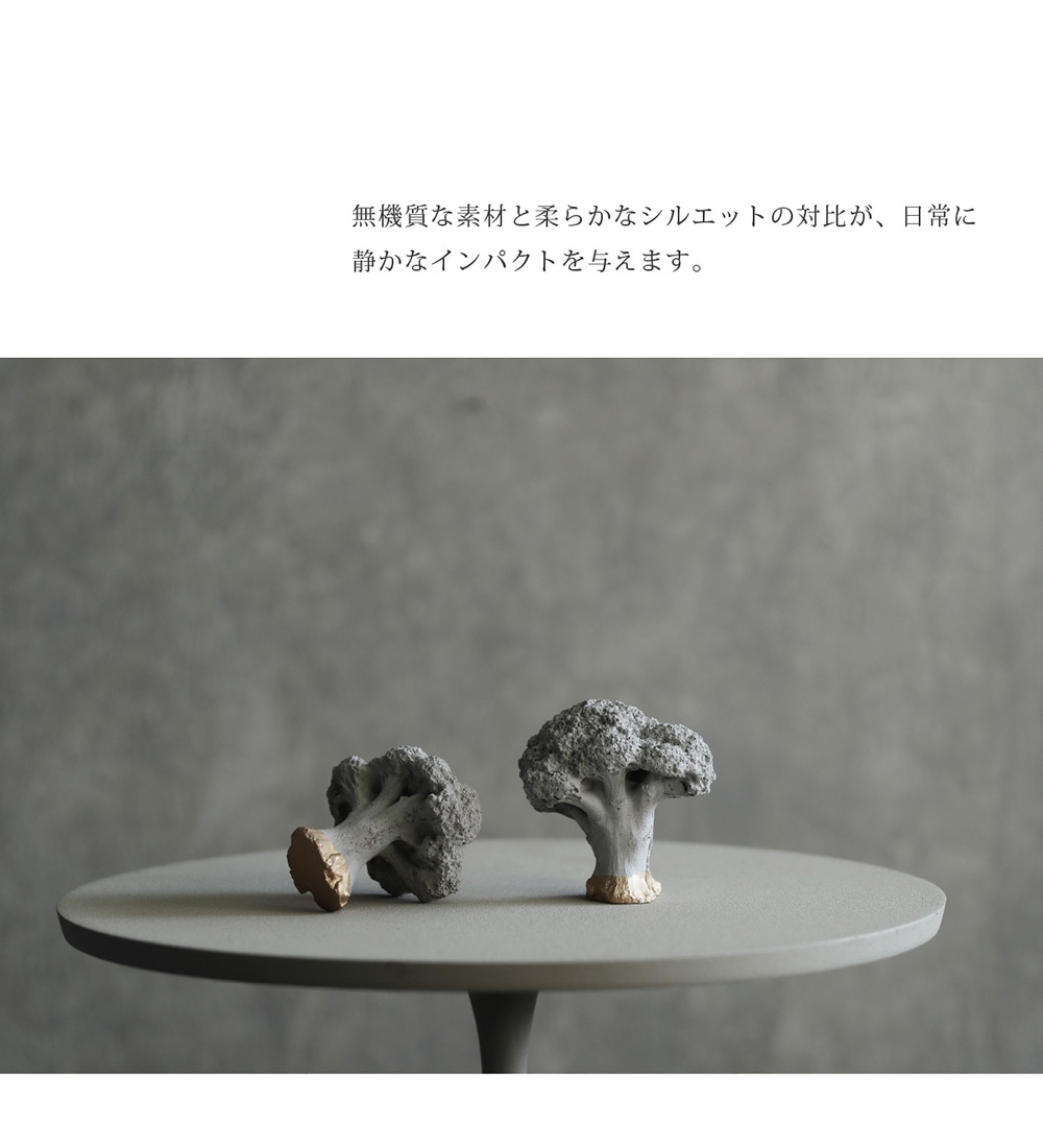 Siena（シエナ）のイメージ写真03