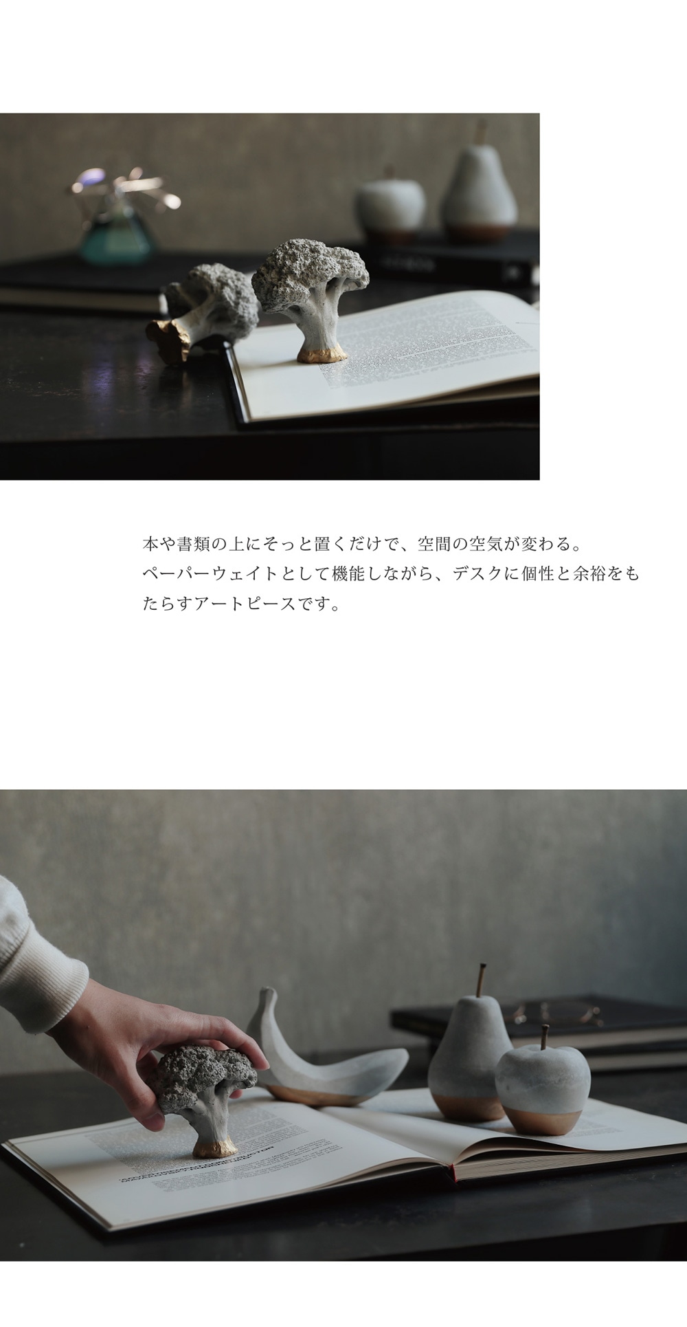 Siena（シエナ）のイメージ写真04