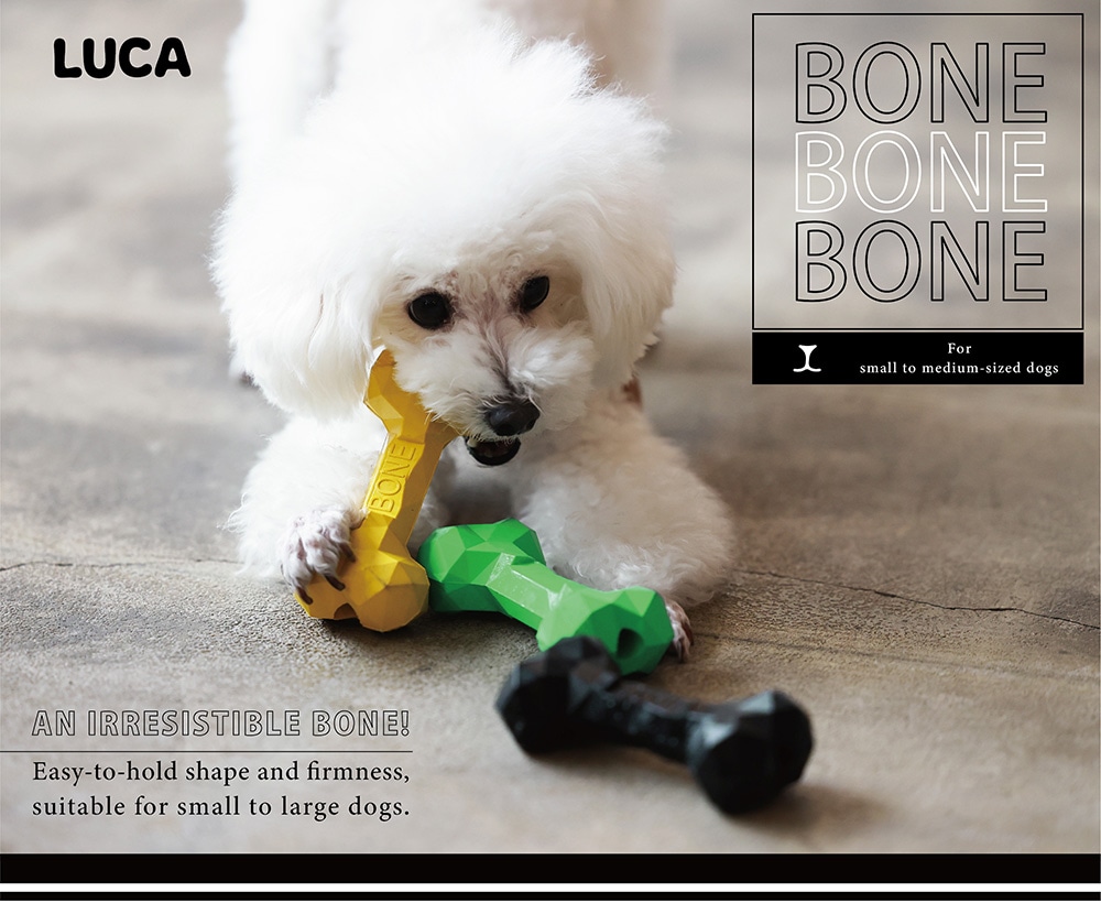BONE BONE BONE（ボーン ボーン ボーン）のイメージ写真01