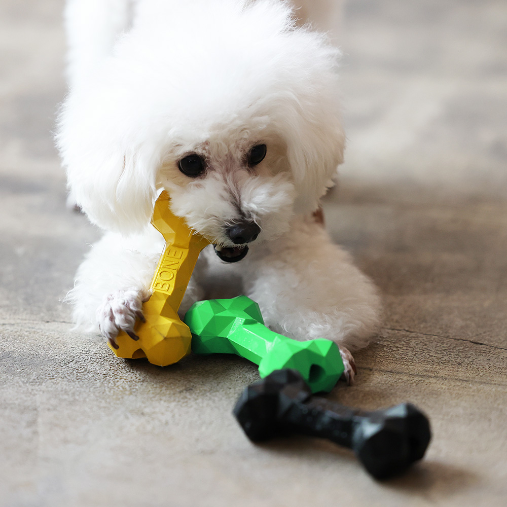 BONE BONE BONE（ボーン ボーン ボーン）