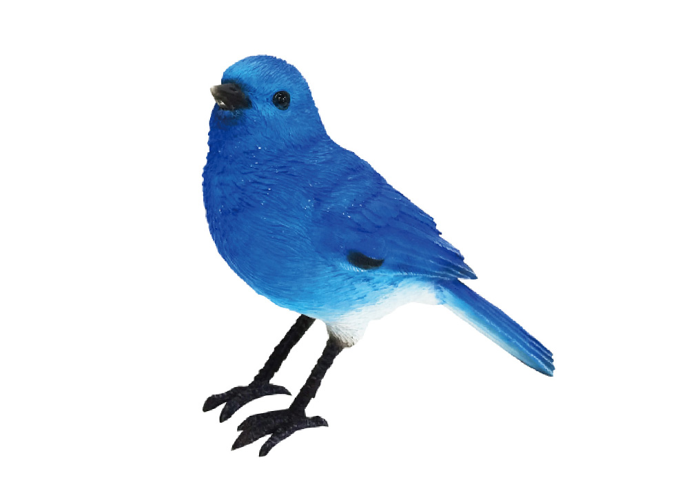BIRDIE BILL BLUE BIRD（バーディ ビル ブルーバード）のイメージ写真03