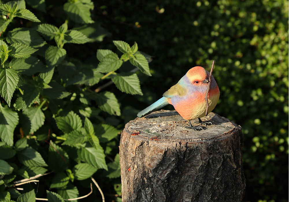 BIRDIE BILL WHITE-BROWED TIT（バーディ ビル ホワイト ブロード ティッド）のイメージ写真02