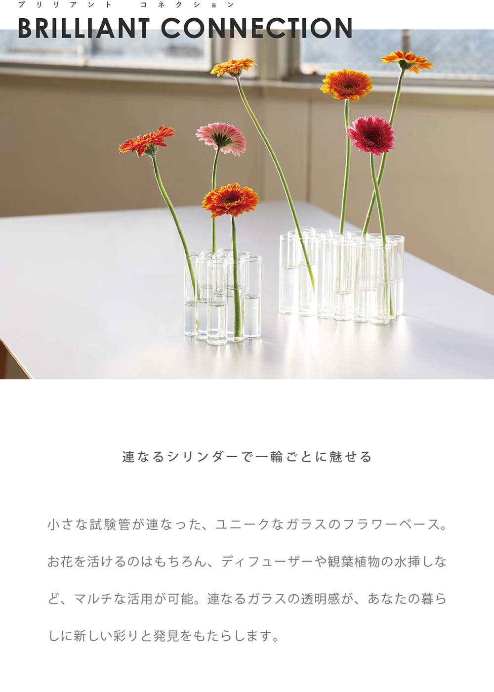 BRILLIANT CONNECTION（ブリリアント コネクション）のイメージ写真01