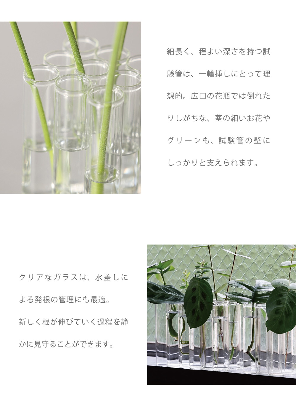 BRILLIANT CONNECTION（ブリリアント コネクション）のイメージ写真03