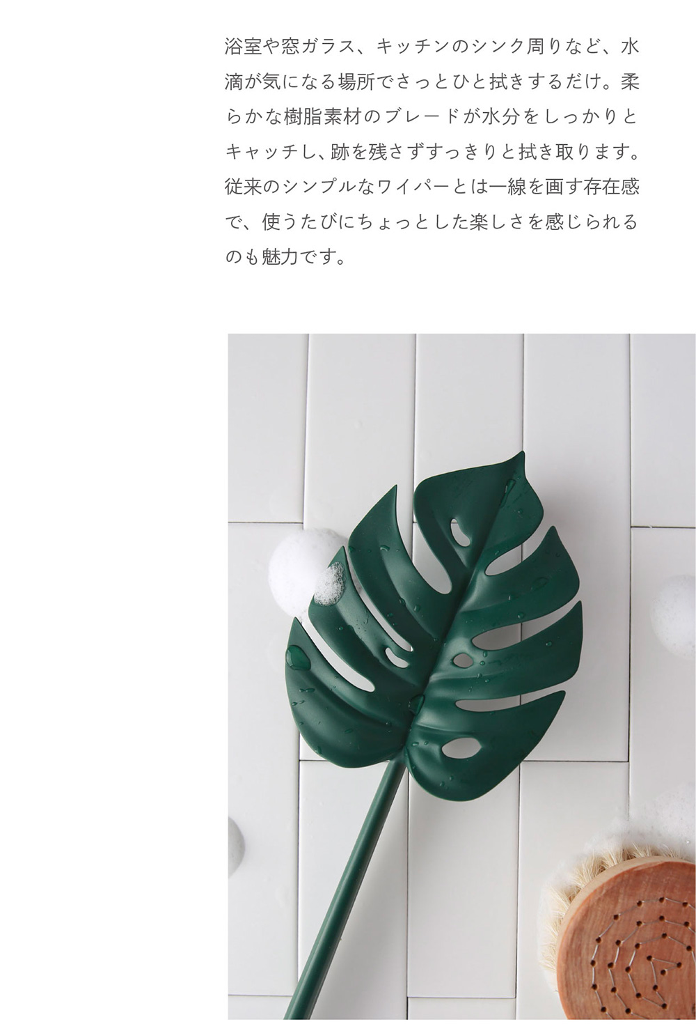 doodoo Monstera Squeegeeのイメージ写真03