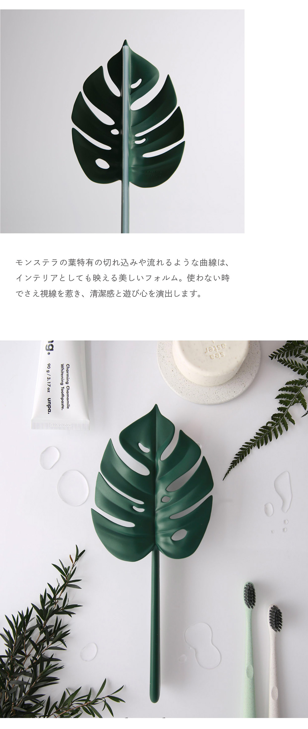 doodoo Monstera Squeegeeのイメージ写真04