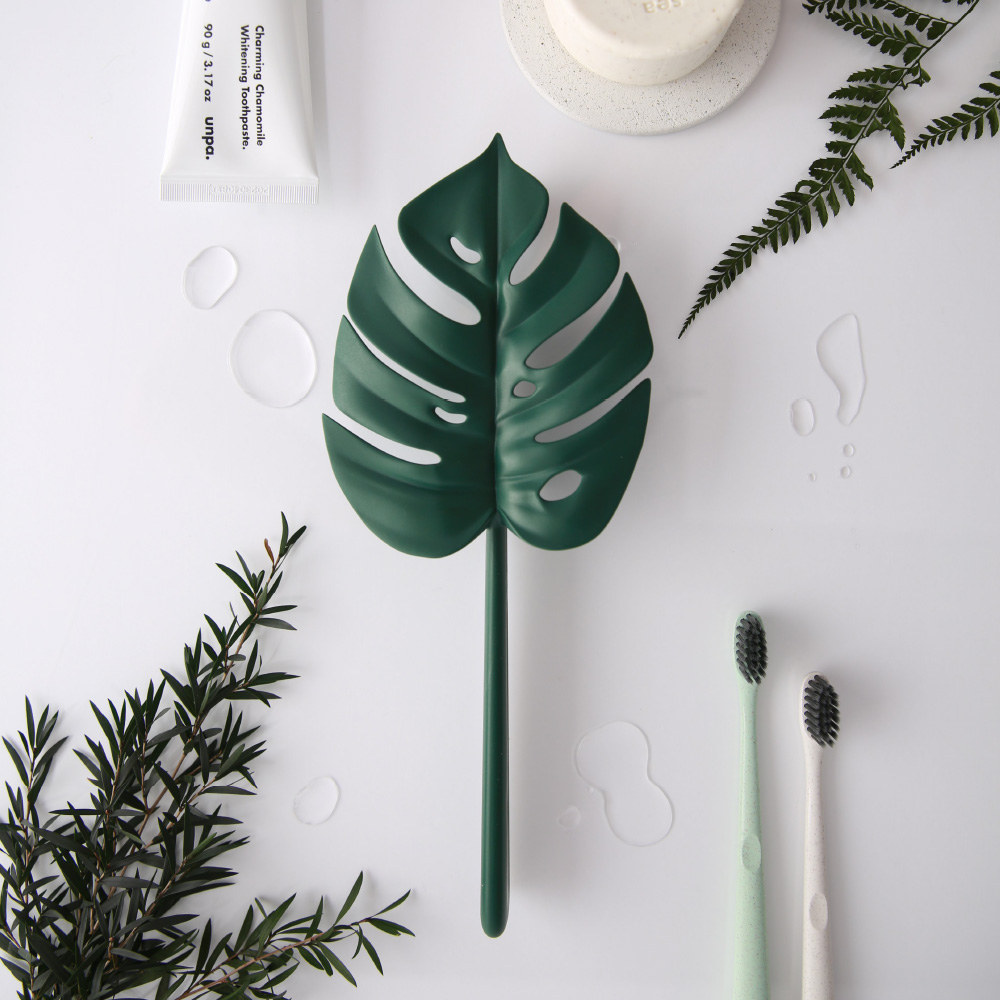Monstera Squeegee