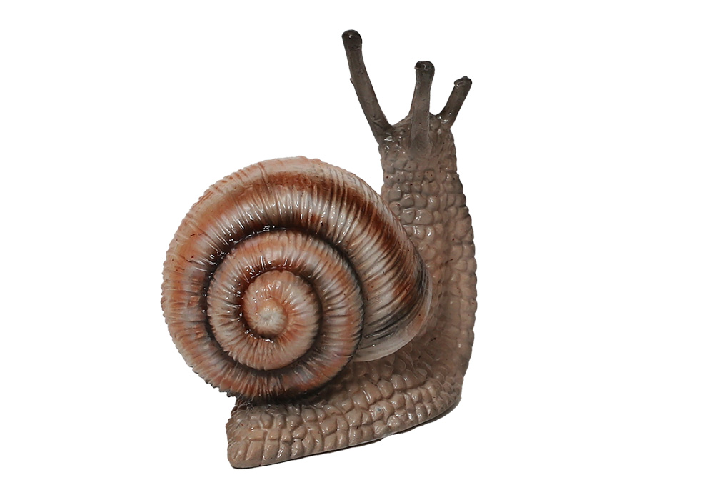FOREST MAG SNAIL（フォレスト マグ カタツムリ）のイメージ写真05