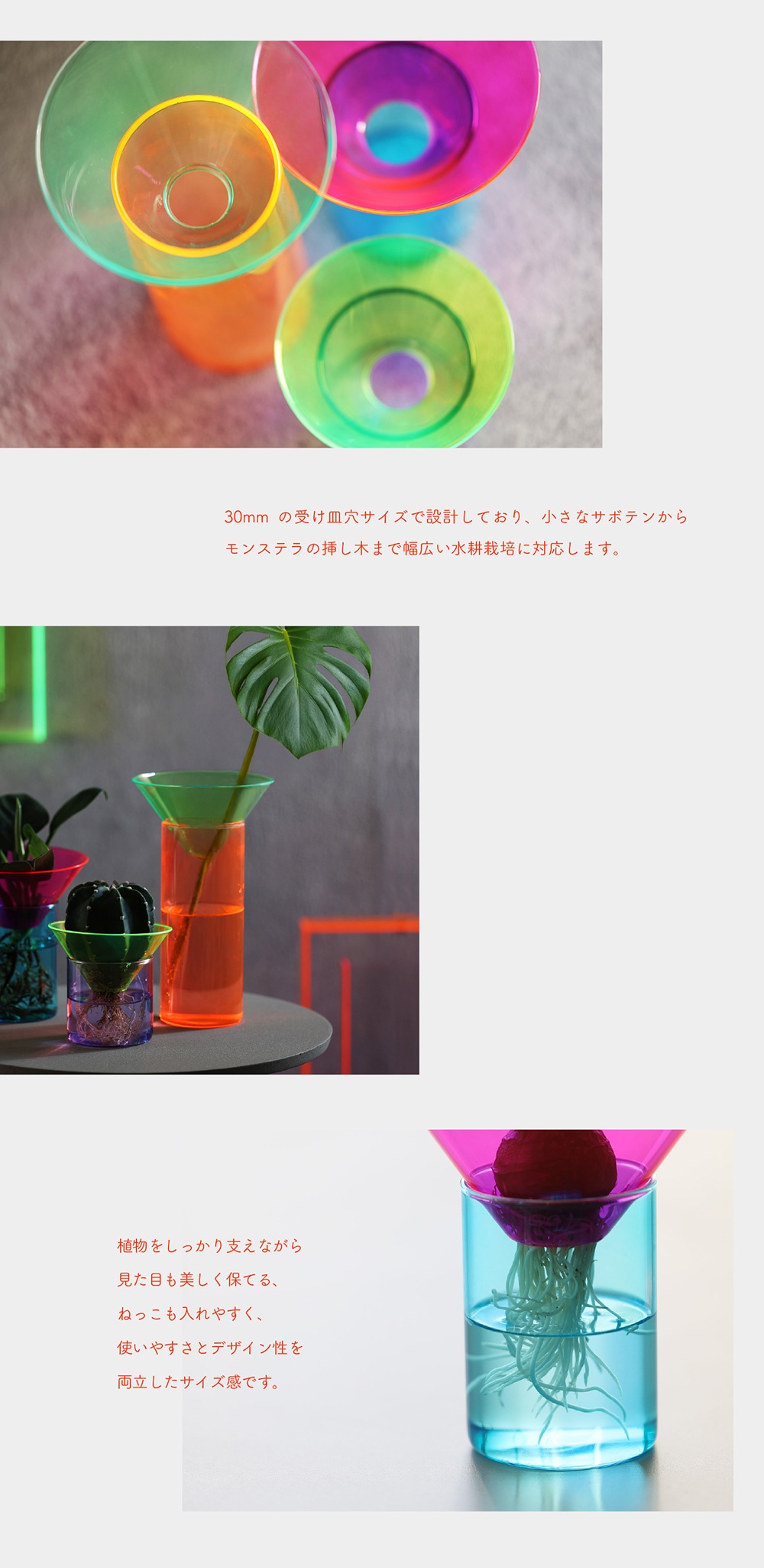 GLOW GROW（グロー グロウ）のイメージ写真04