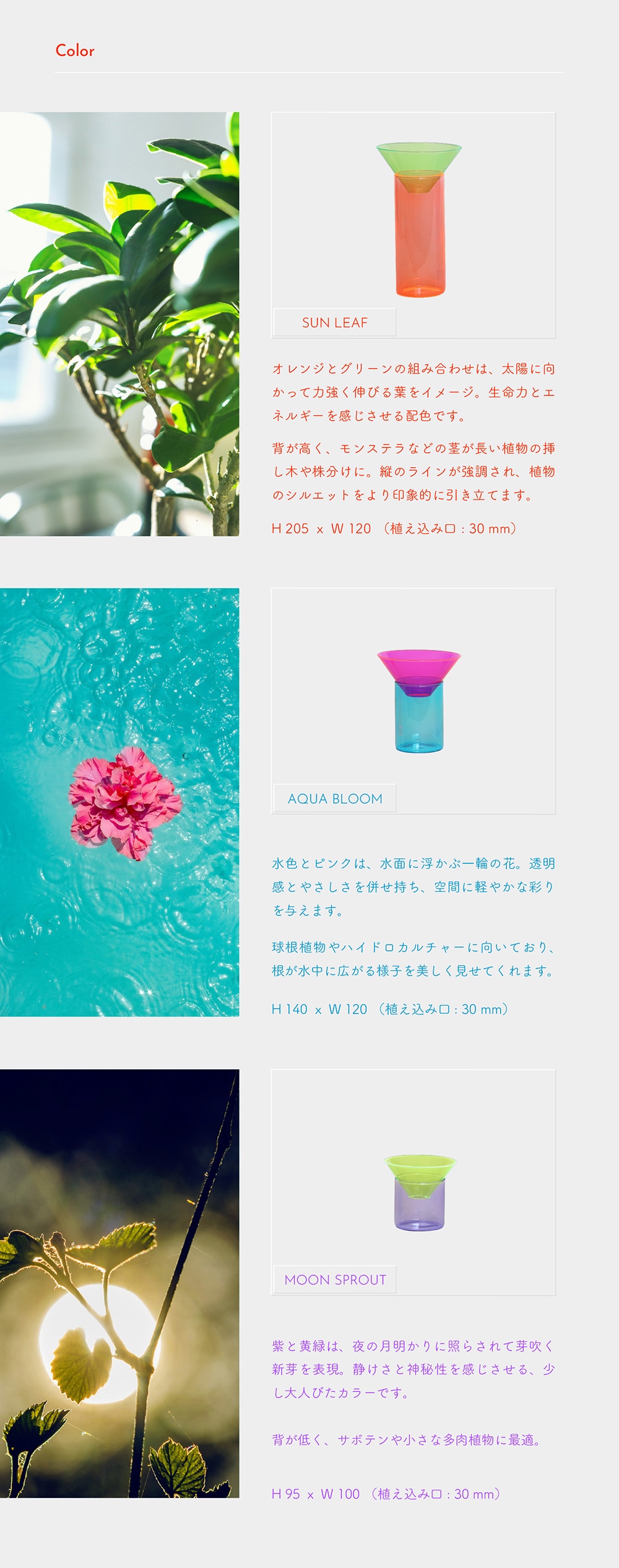 GLOW GROW（グロー グロウ）のイメージ写真05