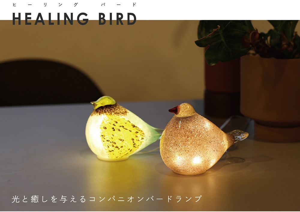 HEALING BIRD（ヒーリング バード）のイメージ写真01