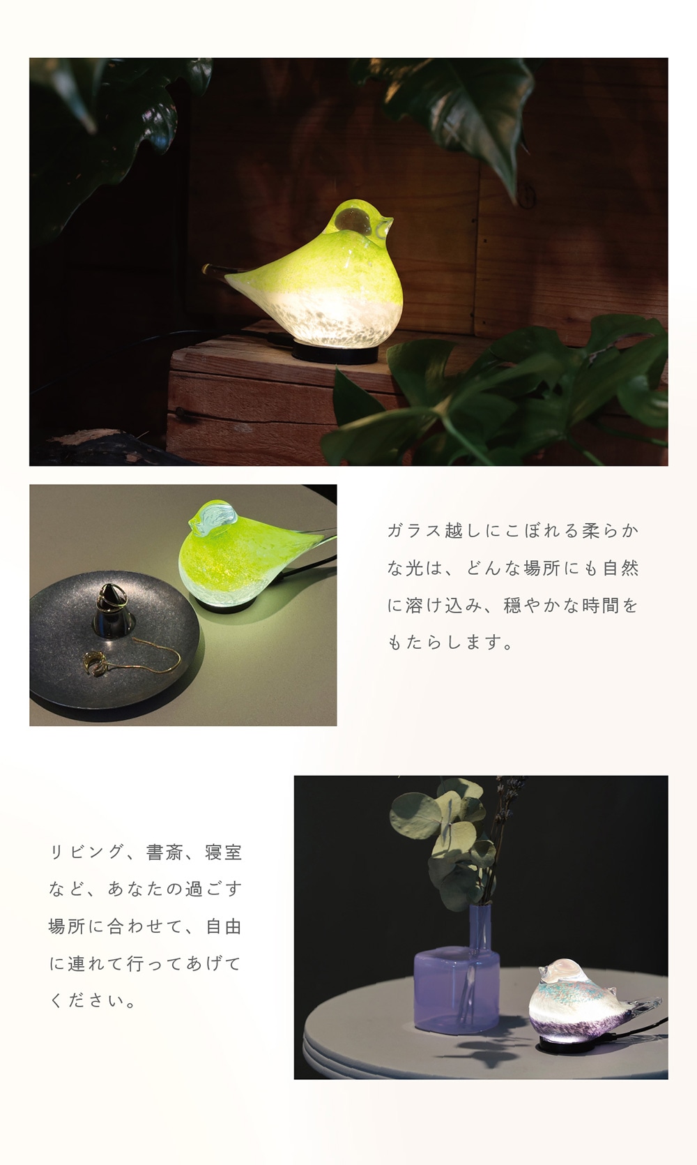 HEALING LITTLE BIRD（ヒーリング リトル バード）のイメージ写真03