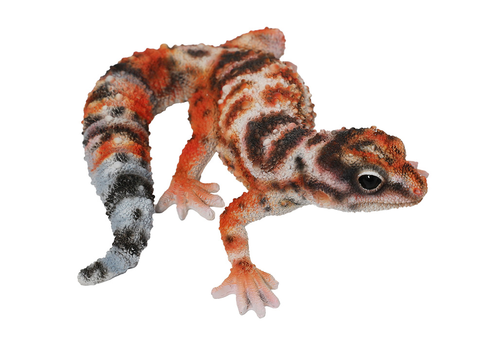REPTILES MAG AFRICAN FAT TAILED GECKO（レプタイルズ マグ ニシアフリカトカゲモドキ）WHITEOUTのイメージ写真02