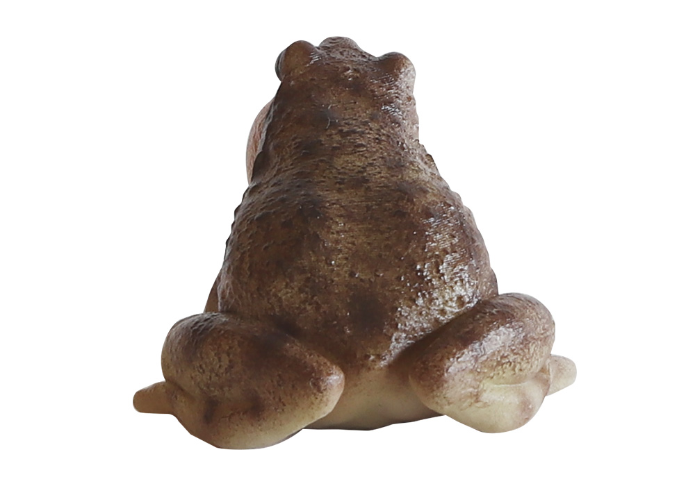 REPTILES MAG OMATE NARROW MONTHED FROG（レプタイルズ マグ ヒメアマガエル）のイメージ写真08