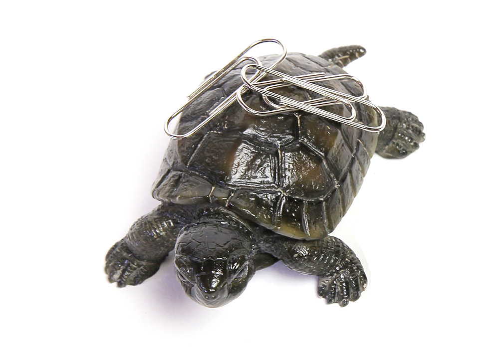 REPTILES MAG POND TURTLE（レプタイルズ マグ ポンド トータス）のイメージ写真04