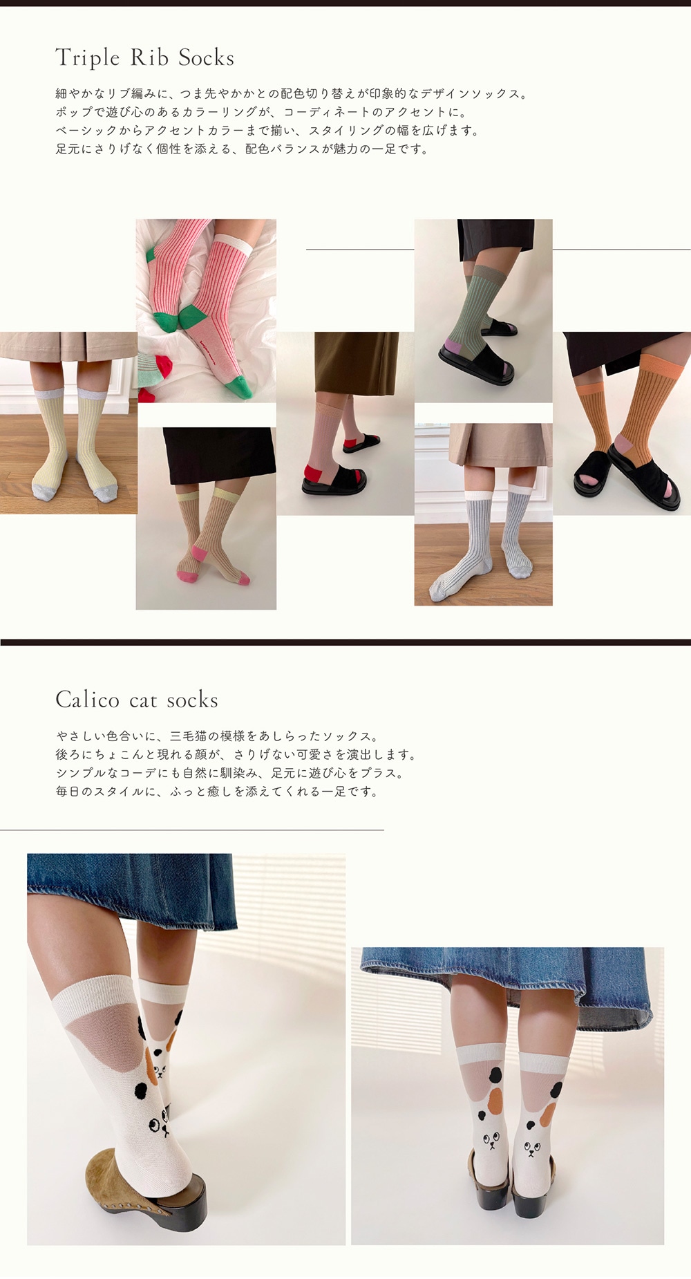 Bonjour March（ボンジュール マーチ）のイメージ写真07