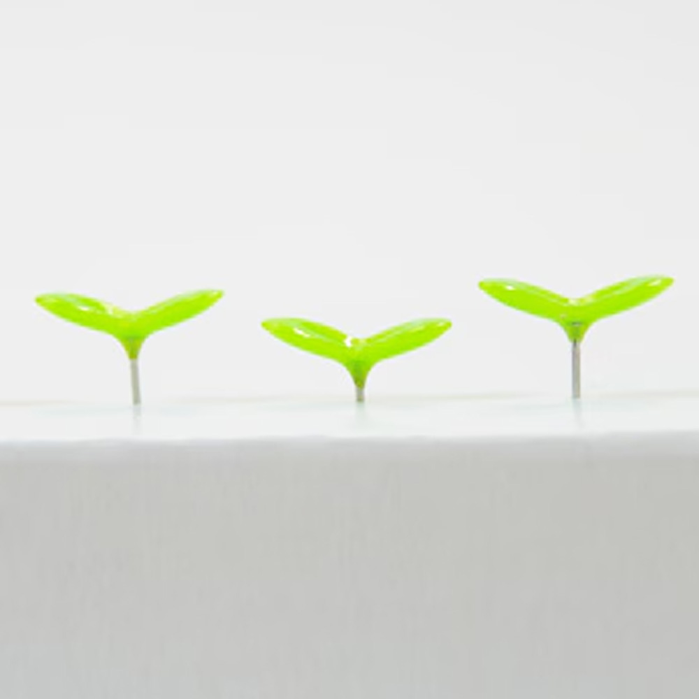 Green Pin（グリーンピン）のイメージ写真03