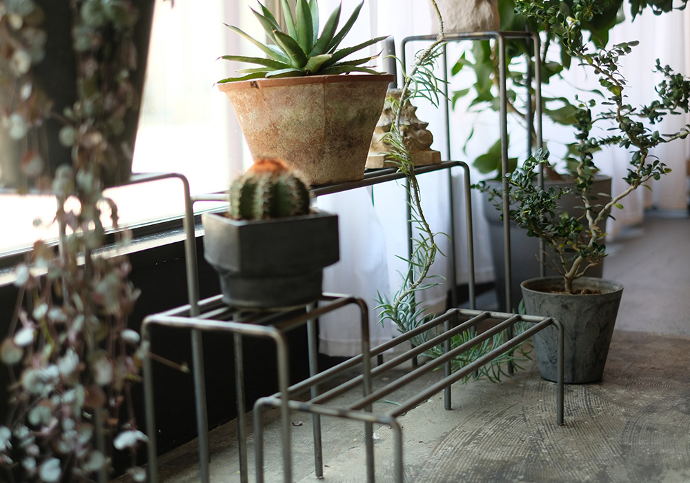 KNOP plant stands WIDE（ノップ プラントスタンド ワイド）のイメージ写真04