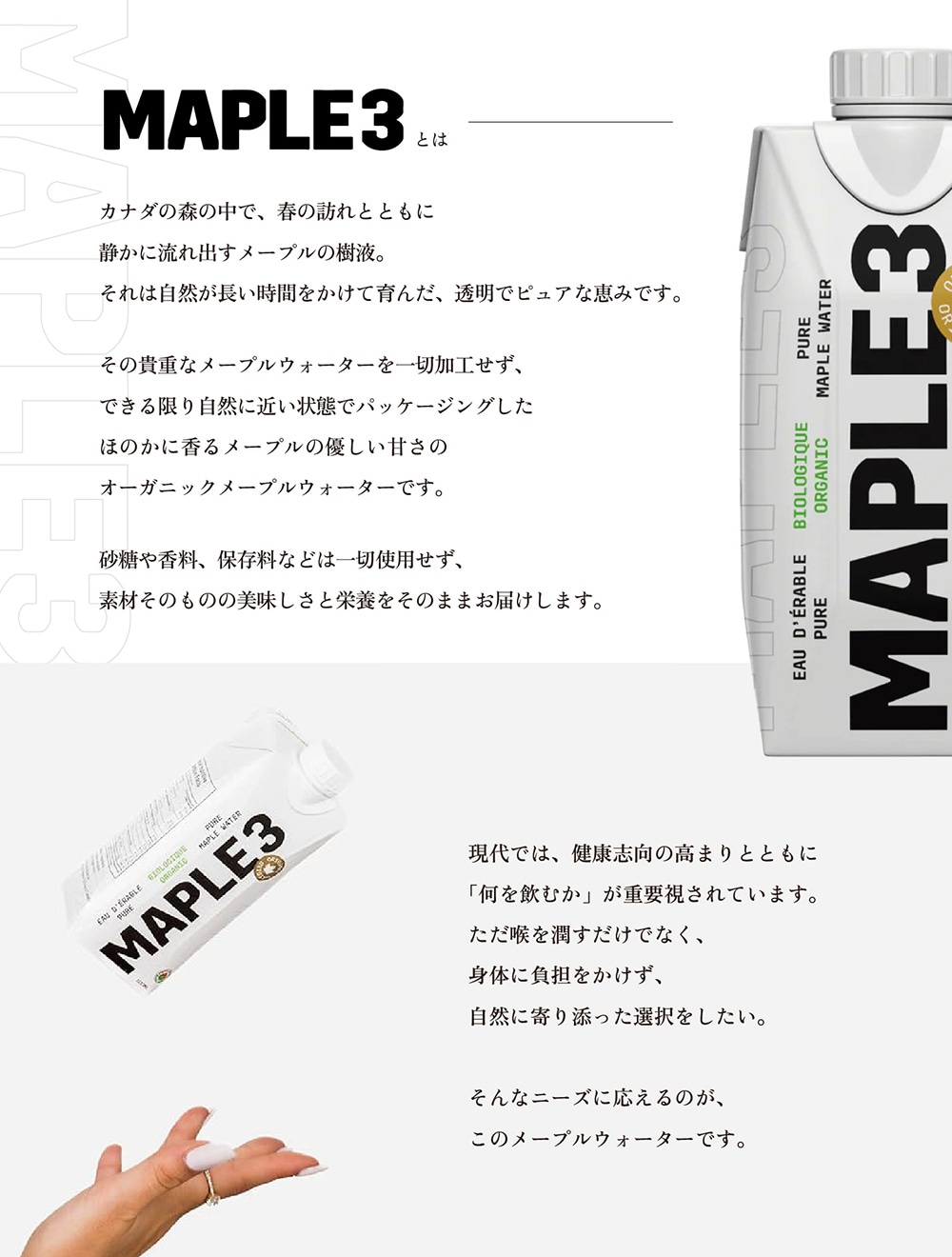 MAPLE3のイメージ写真02