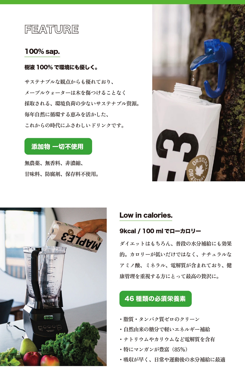 MAPLE3のイメージ写真03