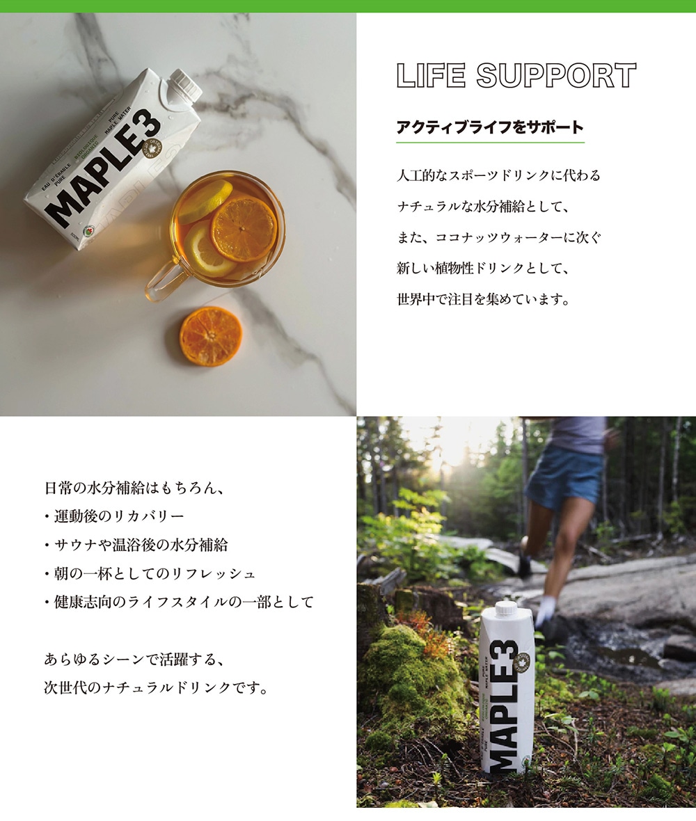 MAPLE3のイメージ写真05