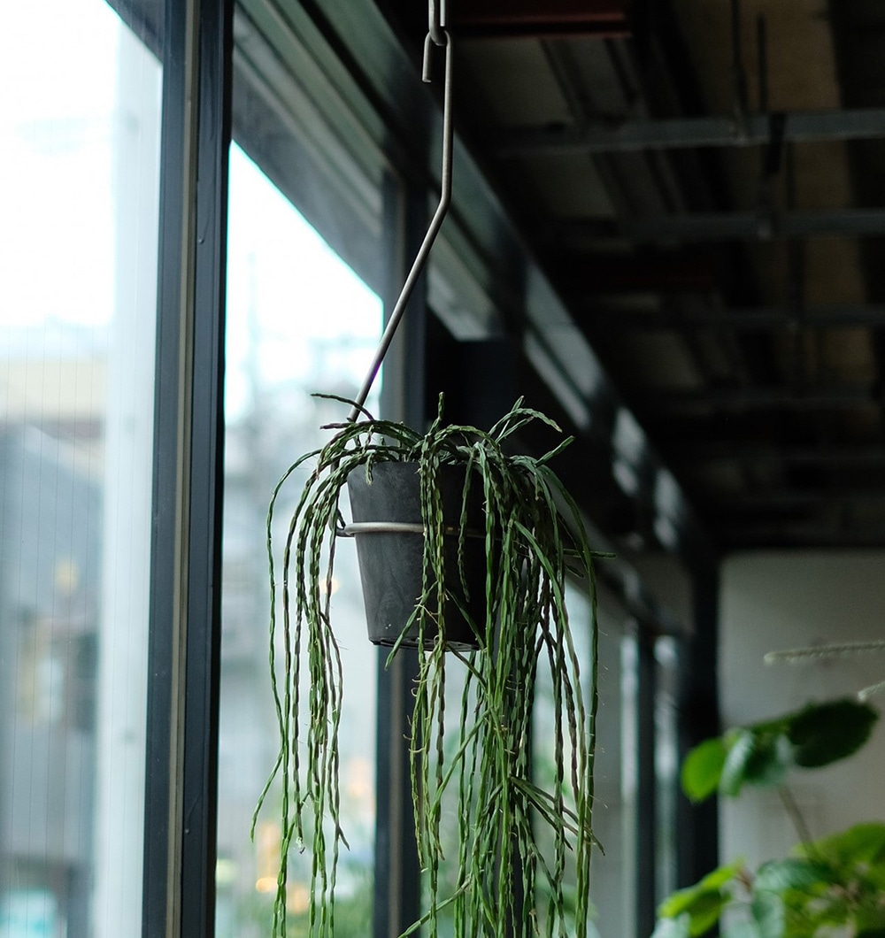 PLOP HANGING HOLDER（プロップ ハンギングホルダー）のイメージ写真03