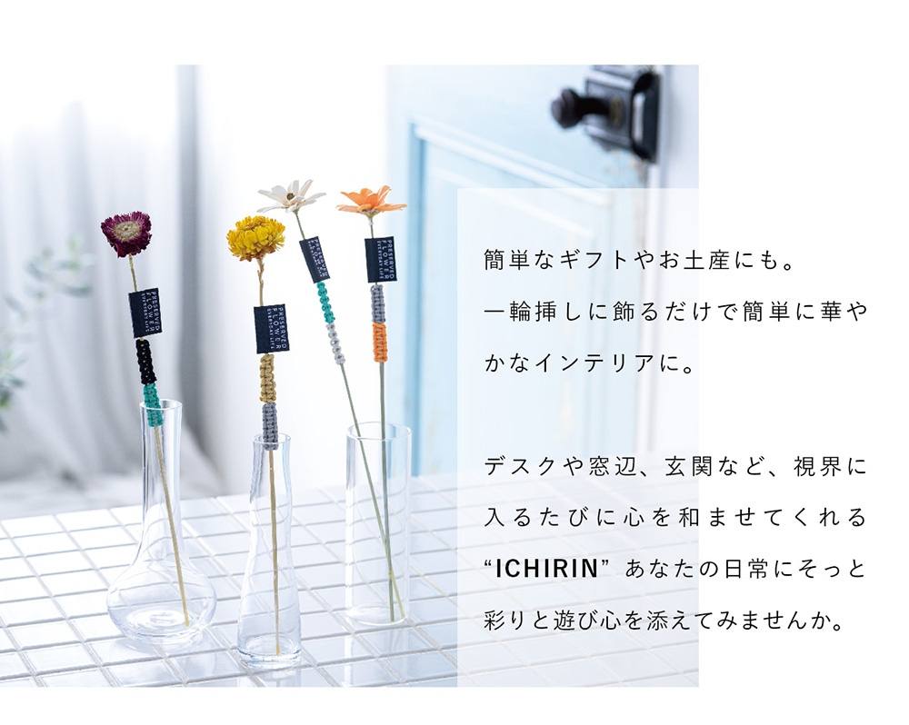 PFEL ICHIRINのイメージ写真02