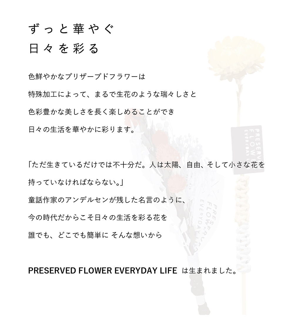PFEL ICHIRINのイメージ写真03