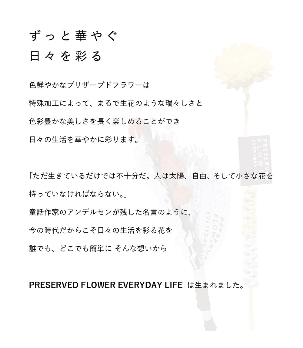 PFEL MINI BOUQUETのイメージ写真03