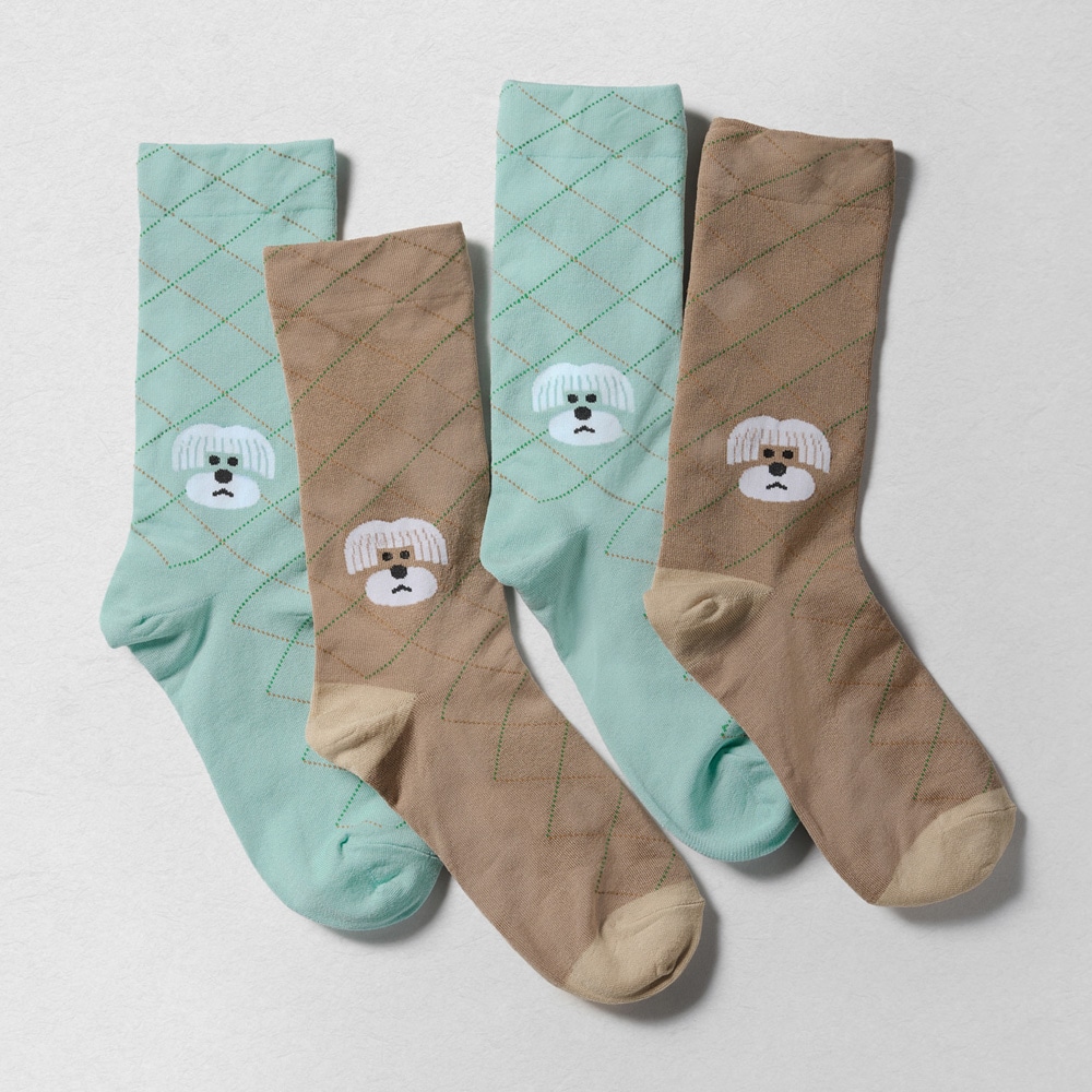 SOCKS（ソックス）のイメージ写真06