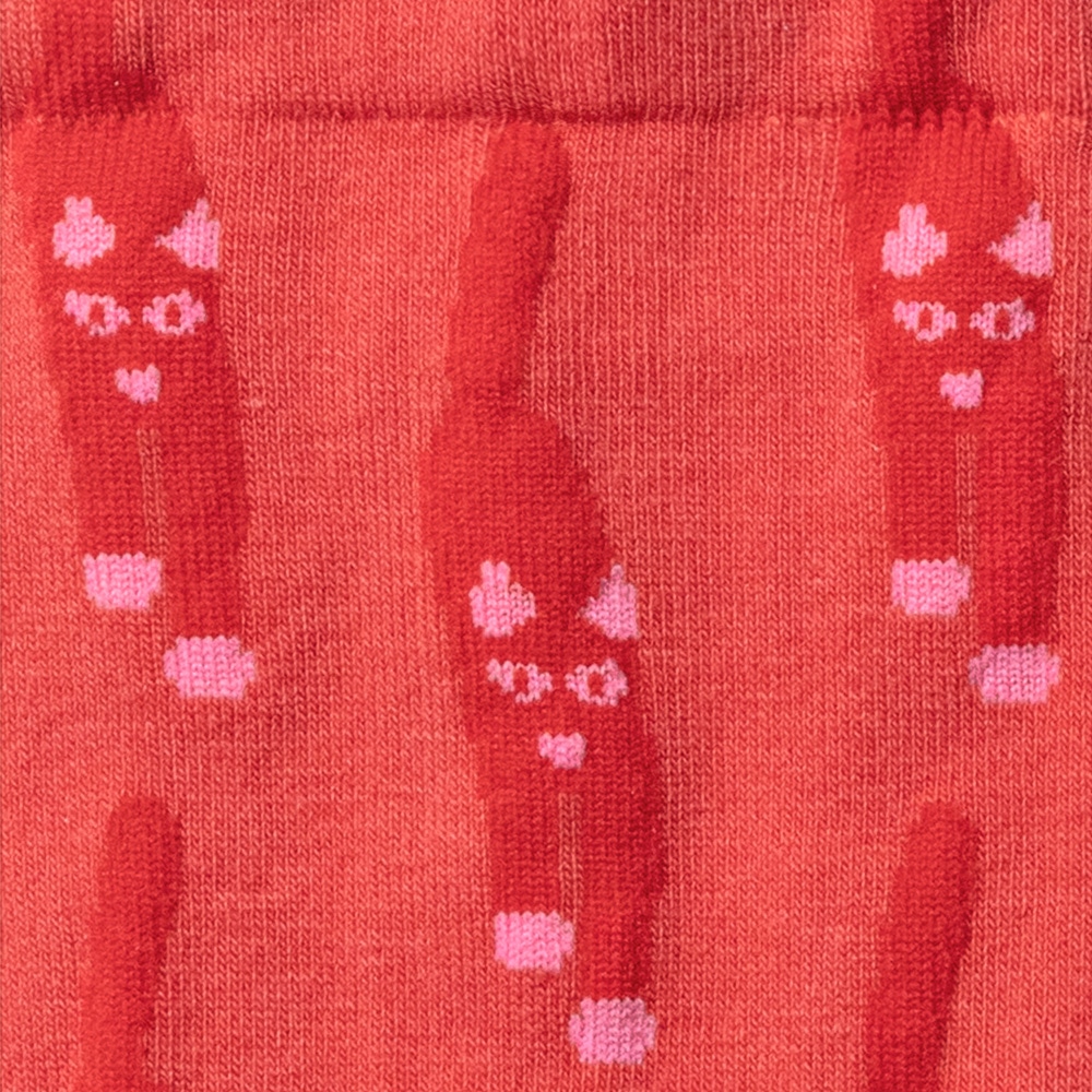 SOCKS（ソックス）のイメージ写真10